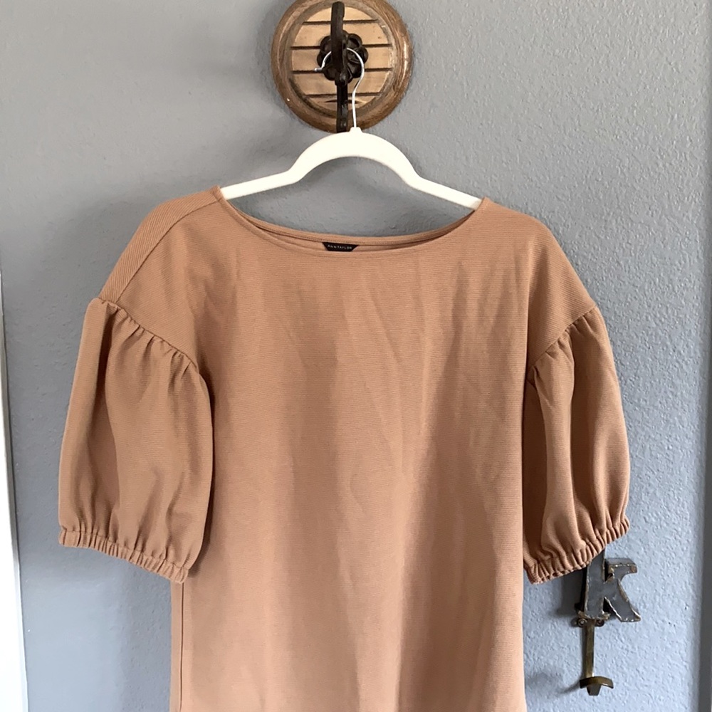 NWT Puff sleeve Ann Taylor top NWT